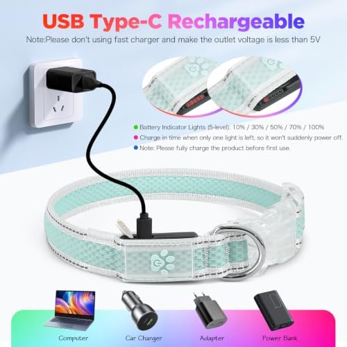 Flashseen Light up Collars for Dogs at Night, RGB 9-Mode, USB Rechargeable | Color Changing LED Lighted Dog Collar, Super Bright Adjustable Glow Collar for Night Walking (Cyan, Small)