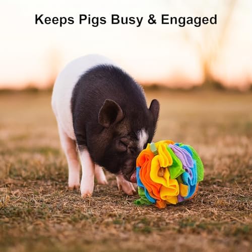 Snuffle Ball for Pigs – Pig Enrichment Toys for Mini Pigs, Potbellied Pigs & Farm Use – Interactive Foraging & Rooting Toy, Slow Feeding Pig Toys Accessories