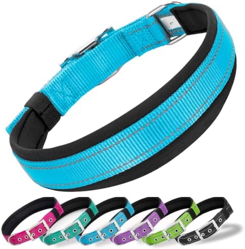 Reflective Dog Collar for XLarge Dogs Wide Padding 6 Holes Adjusta