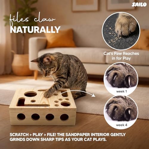 SAILO Cat Nail File Scratcher and Claw Saver Box with Multiple Toys & Grooming Gloves | Interactive Toy for Indoor Cats | Treat Puzzle Enrichment Kit | Perfect Gifting Set for Cat Lovers