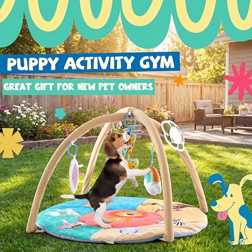 Dog Cat Play Gym with Squeaky Toys, Pet Activity Pad, 30x20
