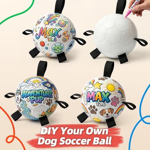 HETOO Paint Your Own Soccer Ball, Art Craft DIY Kit for Dog Party Birthday