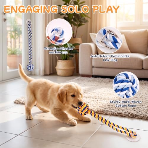 Dog Rope Toy with Suction Cup Interactive Tug of War Toy 2Pcs