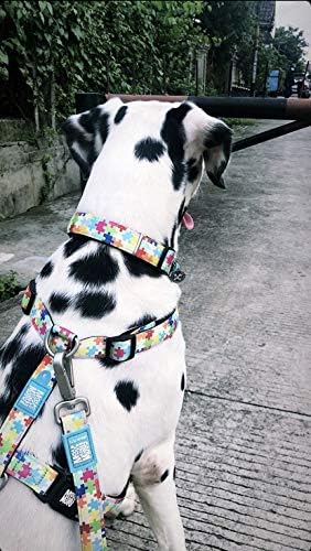 Max & Molly Fashion Smart ID Dog Collar, Anti-Fade, Adjustable Sizing w/Pet Profile Smart ID QR-Tag, Waterproof & Machine Washable for Small Dogs, Puzzle Pieces, Extra-Small