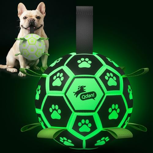 QDAN Glow in The Dark Dog Toys Soccer Ball with Straps, Outdoor Interactive Dog Toys Puppy Birthday Gifts, Dog Tug Water Toy, Light Up Dog Balls for Small & Medium Dogs（6 Inch Size 2） | Light Up Dog Balls for Small & Medium Dogs, 20-40 lbs Dogs Balls, ...