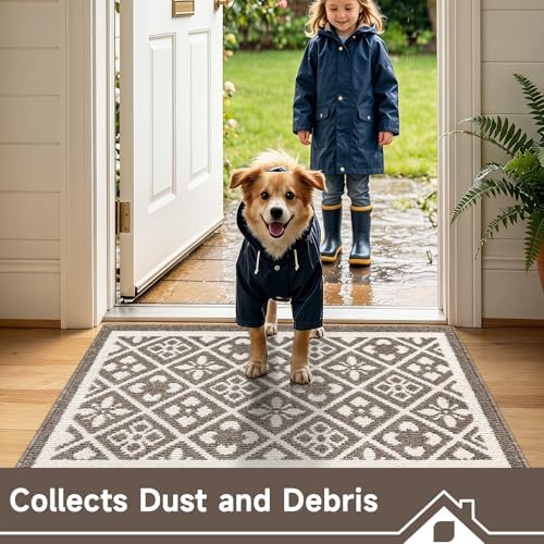 Ileading Indoor Door Mat 2x3ft, Absorbent Muddy Mats for Dogs, Low-Profile Entrance Welcome Mat with Non-Slip Rubber Backing, Washable Runner Carpet for Hallway,Entryway,Kitchen(Brown)