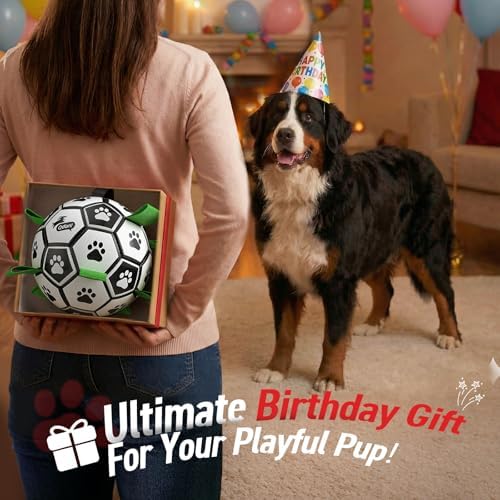 QDAN 10 Inch Gaint Dog Soccer Ball with Straps, Durable Large Dogs Balls | Outdoor Big Dog Toys, Herding Balls for Large Dogs, Puppy Toy for >100 lbs Dogs, Interactive Training Soccer, Pool Water Toy