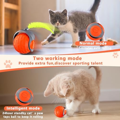 Cat Toys,Interactive Cat Toys Ball for Bored Indoor Cat,Orange
