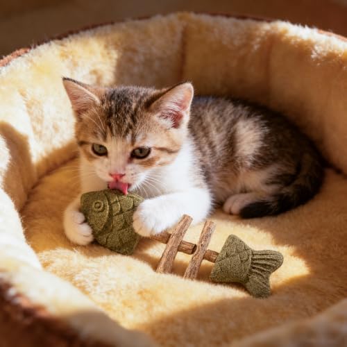 3PCS Catnip and Silvervine Chew, Creative Fish Bone Cat Dental Chew Toy, Fix Cat Dental Health, Durable Wooden Feline Tooth Care Tool
