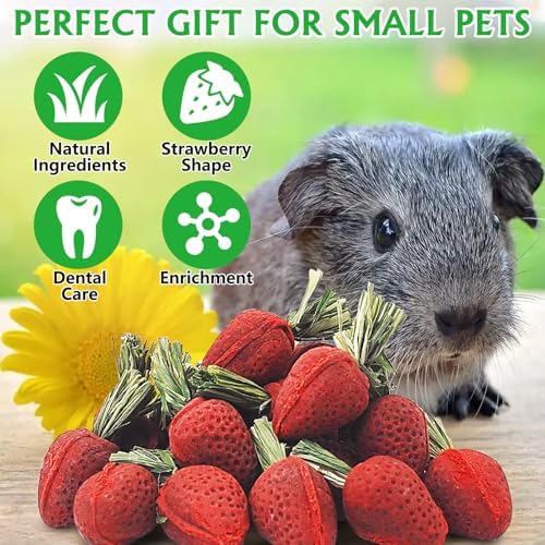Fhiny Rabbit Chew Toys, 24 PCS Natural Hamster Molar Snacks Handmade Small Animal Chew Toys for Teeth Timothy Hay Treats Habitat Decor for Bunny Guinea Pig Chinchilla Hamster Gerbil Dental Care