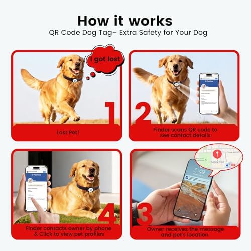 Leather Dog Collar with AirTag Compatible Holder & QR ID, Red, M