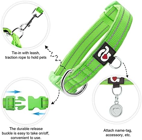 azuza Reflective Dog Collar, Neoprene Padded Small Dog Collar, Green, S
