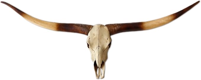 JUNTHORB 70in Longhorn Wall Decor, Extra Large Authentic Croissant，Cow Skull Wall Decor，cow horns, cow horn wall decoration, long horn skull，Handmade Farmhouse Decor (brown)