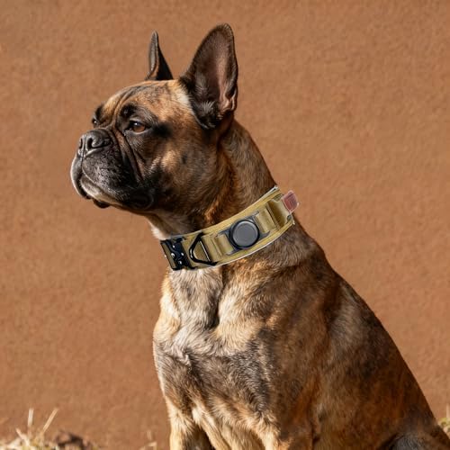 2" Tactical Dog Collar with Airtag Holder & Handle for Medium Dogs (Brown)