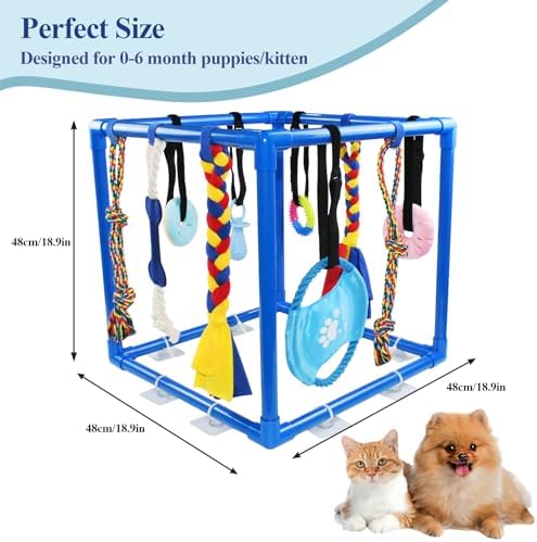 ASOCEA Puppy Play Gym for Small Dogs – Interactive Jungle Gym with 10 Hanging Toys, Adjustable Height, Safe PVC Frame for Indoor Puppy Entertainment, Teething & Mental Stimulation