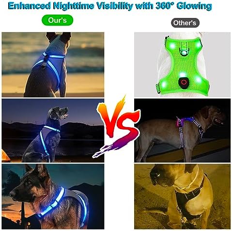 Visinite LED Dog Harness, USB Rechargeable Light Up Dog Vest, 2 Illuminate Modes Glow in The Dark Dog Harness, Adjustable Lighted Pet Harness Light for Night Walking Safety(Blue, L)