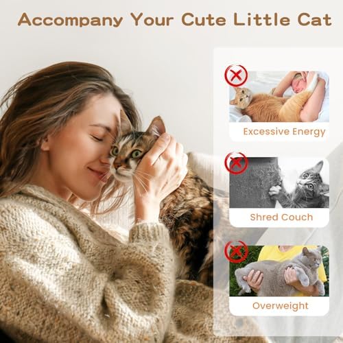 Pawaboo Cat Feather Wand Interactive Toy, 10 Feathers + 1 Wand with Bell