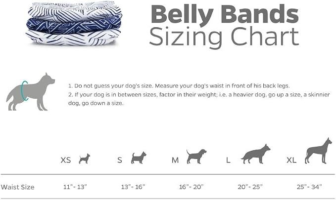 Pet Parents® Washable Belly Bands for Male Dogs (3pack) + Extendrs® of Durable Dog Diapers Male, Premium Male Dog Diapers & Dog Wraps (Small, Kahuna)