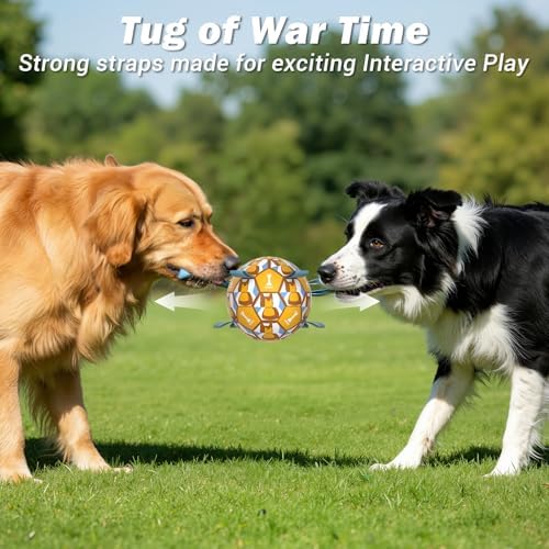 Dog Toy Balls, Dog Soccer Ball with Straps, Interactive World Cup Soccer Ball for Medium Dogs, Water Fetch Toys, Tug-of-War, Herding Ball Toys Outdoor, Dog Birthday Toy, Light Blue (6 Inch)