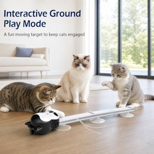 2-in-1 Electric Cat Toy, Automatic Interactive Cat Wand with 2 Play Modes (Track Chase & Bounce), Indoor Exercise Toy for Kittens & Adult Cats