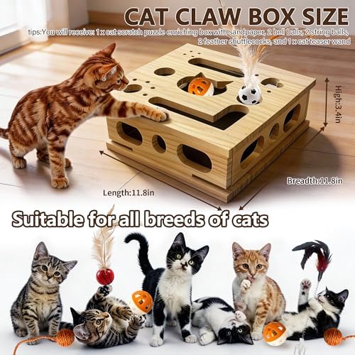 2026 New Model Cat Nail File Enrichment Box, Square