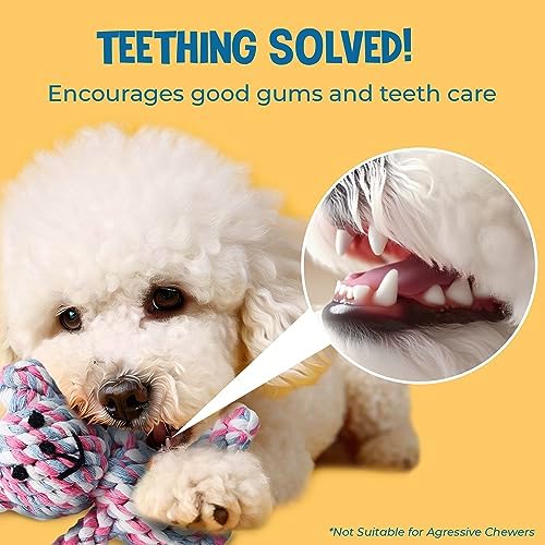 SunGrow Teddy Bear Puppy Teething Toy, Durable Tug and Chew Play for Small & Medium Dogs, Knotted Rope Cotton Design for Teething Comfort, Interactive Training, Active Pet, & Oral Cleaning