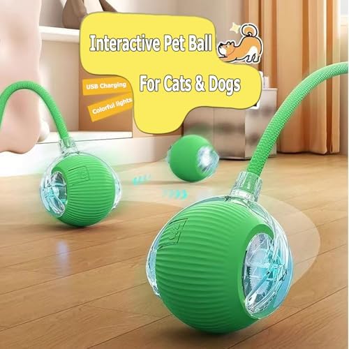 Interactive Electric Pet Ball, USB Rechargeable Auto Rolling Toy with Tail