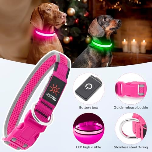 Flashseen LED Dog Collar, Light Up Dog Collar USB Rechargeable, Pink, S