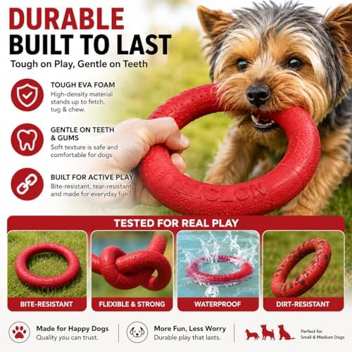 Floating Ring & Ball Combo Set, 2 Pack EVA Water Fetch Toys for Dogs, Durable Chew Tug Toy for Small Medium Large Dogs, Pool Beach Interactive Play (Red, Small)