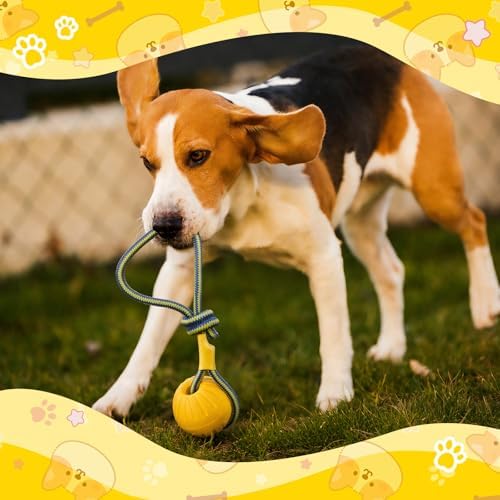 Hsei 2 Pcs 2.8" Dog Rope Toy Ball on Rope Fetch and Tug of War Toy for Dog