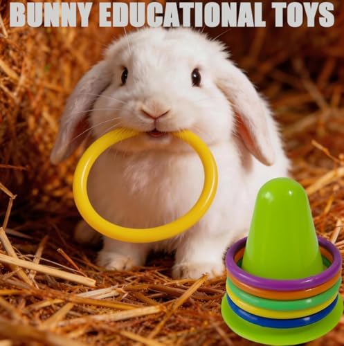 Rabbit Treat Ball, Bunny Enrichment Toy with Stainless Steel Hanger Set, Veggie Feeding Rabbit Ball Toy to Slow Feeder for Bunny, Guinea Pig, Hedgehog, Squirrel, Tortoise (Style2-Blue)