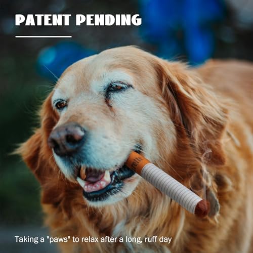 Funny Squeaky Dog Chew Toys: Interactive Stuffless Boy Dog Accessories for Entertainment Boredom Anxiety Relief Mental Stimulation, Puppy Toys for Small to Medium Breed, 3 Packs Pet Supplies