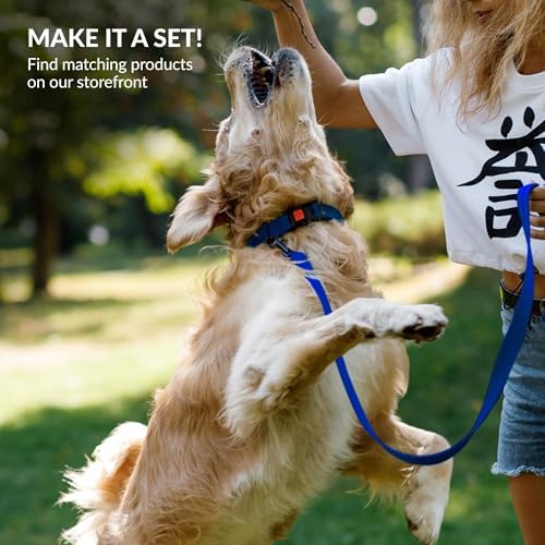 Reflective Dog Collar, Quick-Release Buckle (Blue, 14-18 Inch)