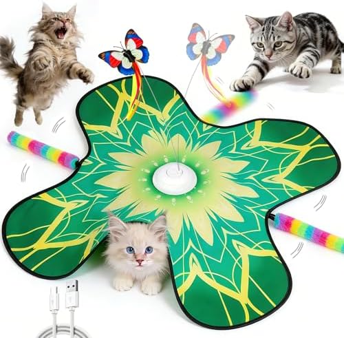 Interactive Indoor Cat Toy, Rechargeable Touch Automatic Hide and Seek Mat