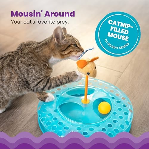 Catstages Cheese Chase Interactive Cat Track Toy with Balls and Catnip Toy, Multicolored