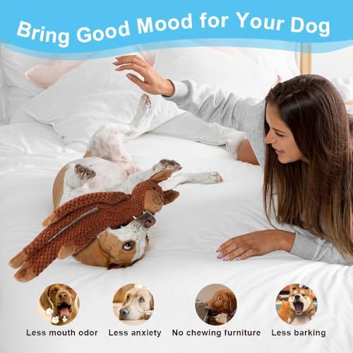 Dog Squeak Toys for Small, Medium, Large Dogs, Durable Chew Toy for Teething and Chewing, Tough Interactive Puppy Toy, 5-Pack, for Dogs