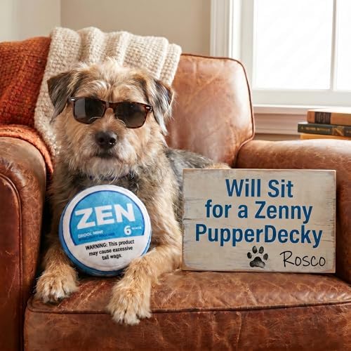 Nestpark Zen Pupper Deckies Parody Dog Toy - Plush Squeaky and Crinkle Funny Dog Toy - Drool Mint