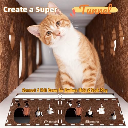 Cat Tunnel House for Indoor Cats, 3-in-1 Felt Cave and Scratcher