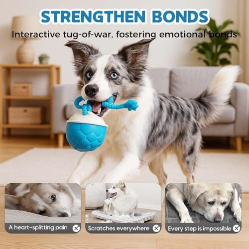 Interactive Dog Toys Motion Activated Automatic Rolling Ball Toys for Small/Medium/Large Dogs Balls for Boredom to Keep Them Busy with USB Rechargeable (Orange)