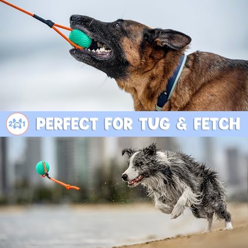 Dog Ball Toy with Rope, Durable EVA Foam Floating Dog Toy, Interactive Fetch & Toss n’ Train Tug Ball for Dogs, Bouncy Pet Ball for Outdoor Indoor Play - Green, Medium