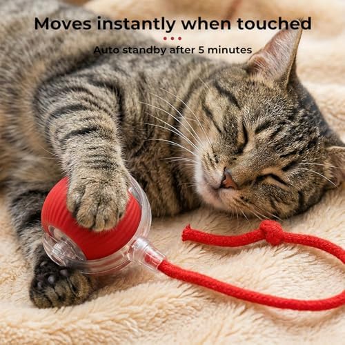 Interactive electric automatic 360 rolling USB rechargeable motion-sensing toy smart chasing cat ball, equipped with a quick tail rope, specially designed for active adult cats and indoor dogs.