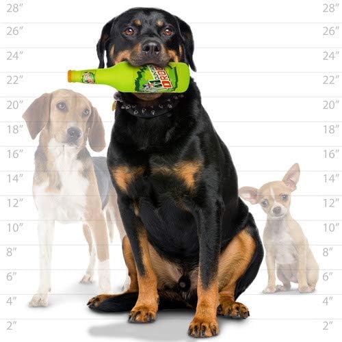SILLY SQUEAKERS Tuffy 2 Pack Beer Bottle Dog Toy: Squeaky Dog Toy, Washable and Floats, Vinyl