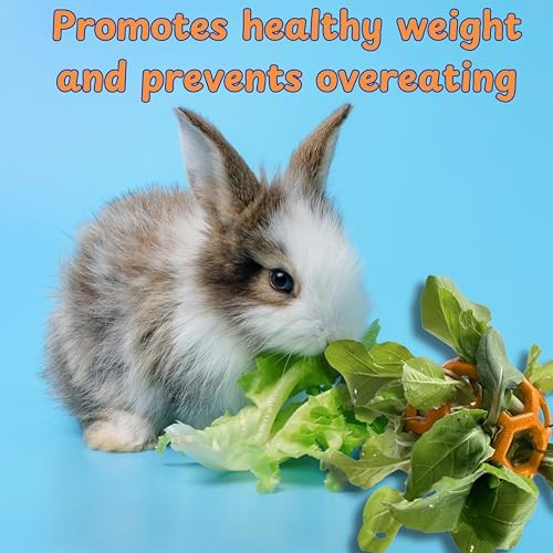 Rabbit Treat Ball Bunny Enrichment Toys with Stainless Steel Hanger Set, Veggie Feeding Rabbit Ball Toy for Bunny Hedgehog Tortoise Guinea Pig Rabbits, Pets Treat Balls Accessories (Orange)