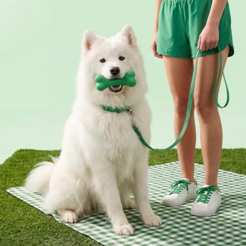Playology Dual Layer Bone Dog Chew Toy - Jumbo, Watermelon Scent