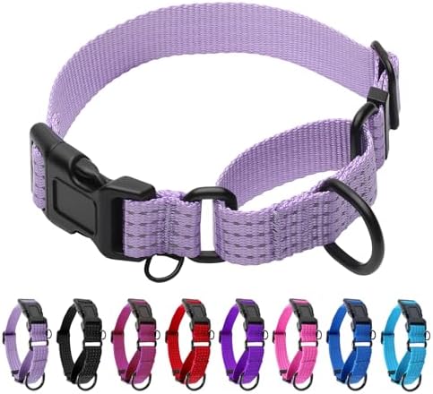 Martingale Dog Collar, Reflective No Pull with Buckle, Lavender, S