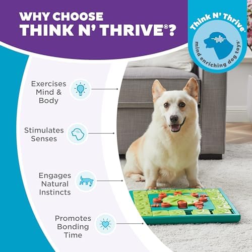 Outward Hound Nina Ottosson MultiPuzzle Dog Toy Treat Puzzle, 15" | Level 4 Expert, 28 Hidden Treat Compartments, Holds 1 Cup Kibble or Treats, Easy Clean, No BPA, Enrichment, Dogs & Puppies