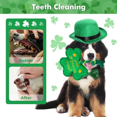 St. Patrick's Day Dog Toy, Squeaky Dog Toys with Rope, Plush Shamrock Clover Stuffed Toys, St. Patrick's Day Gifts for Small and Medium Dogs, Only Suitable for Pet Use
