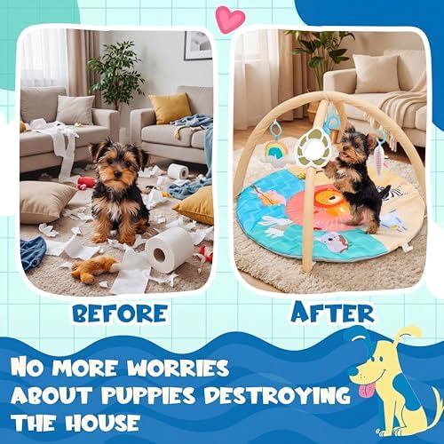 Dog Cat Play Gym with Squeaky Toys, Pet Activity Pad, 30x20