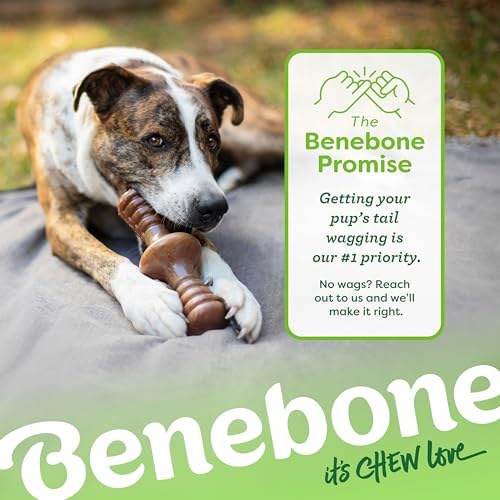 Benebone Zaggler Dog Chew Toy for Aggressive Chewers, Real Peanut, Medium