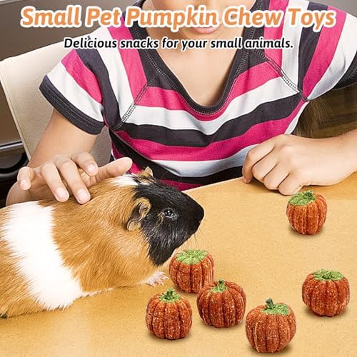 Fhiny 6 PCS Rabbit Chew Toys, Natural Pumpkin Carrot Timothy Grass Guinea Pig Chew Toys for Teeth Bunny Molar Snacks Dental Care Hamster Treats for Bunny Guinea Pig Chinchilla Hamster Gerbil